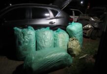 SUV Crash Leads Police to Sh7.2 Million Bhang Consignment in Nakuru