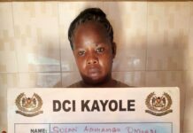 187kg of Bhang Worth Sh5.6 Million Seized in Ruai 187kg of Bhang Worth Sh5.6 Million Seized in Ruai