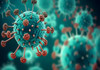Government Raises Alert Over African Swine Fever Outbreak in Seven Counties Swine Fever