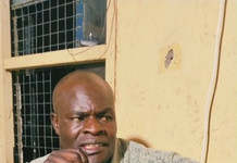 Police Arrest Suspected M-Pesa Fraudster After Alleged Safaricom Line Swap in Garissa