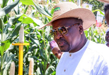 Government Targets Five Coast Counties to Triple Agricultural Production
