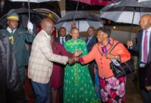 Ruto Travels to Zimbabwe for COMESA Summit, Set to Hand Over Chairmanship Ruto Zimbabwe