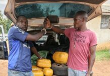 Four Arrested as Police Seize 66kg Cannabis in Busia, Bungoma