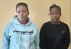 Two Suspects Arrested Over KSh530,000 Chicks Supply Fraud