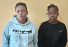 Two Suspects Arrested Over KSh530,000 Chicks Supply Fraud