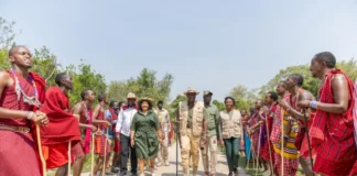 Tourism Arrivals Hit 2.8 Million as Kenya Eyes 5 Million Visitors