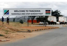 New Tanzania Travel Rules Affect Kenyans Crossing the Border