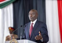 Ruto Announces KSh40,000 Land Buying Relief, KSh65 Milk Price for Farmers