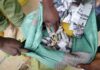 Police Recover Cannabis, 22 Jerricans of Suspected Chang’aa in Vihiga