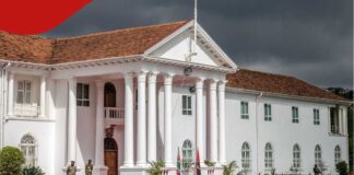Man Arrested at State House Gate After Allegedly Driving Tuk-Tuk Towards Ruto