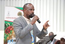 Coffee Stakeholders Push for Stronger Collaboration to Boost Kenyan Farmers