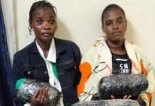 Two Women Arrested in Busia With Cannabis Hidden Under Cassava, Avocados