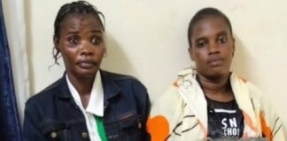Two Women Arrested in Busia With Cannabis Hidden Under Cassava, Avocados