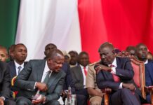 Farmers Urged to Increase Production as Maize Output Hits 71 Million Bags Farmers Urged to Increase Production as Maize Output Hits 71 Million Bags