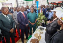 Agriculture Summit Ends With Calls to Make Farming More Profitable for Kenyans Agriculture Summit Ends With Calls to Make Farming More Profitable for Kenyans
