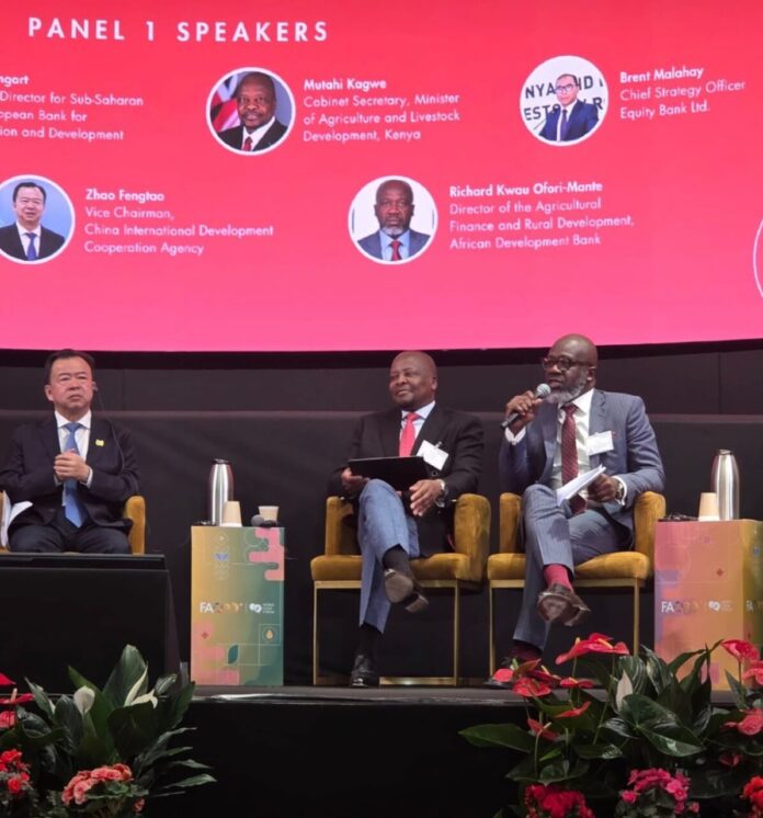 Kagwe Questions Why Banks Lend So Little to Farmers Despite Agriculture’s Role in Kenya’s Economy