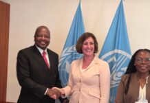 Kenya, FAO Plan Joint Efforts to Improve Soil Health and Farm Yields FAO