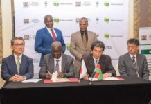 Kenya and Japan Partner to Restore Forests and Boost Tree Cover