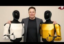 Elon Musk Plans Optimus Academy To Train Thousands Of Tesla Humanoid Robots