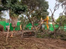 Kihika Stops Tree Felling in Nakuru Without County Approval Kihika