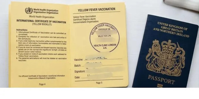 image Yellow Fever Card