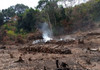 New Rules Target Charcoal Trade, Forest Use and Wetland Destruction in Kenya