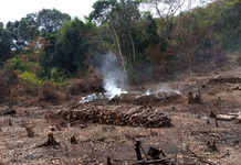 New Rules Target Charcoal Trade, Forest Use and Wetland Destruction in Kenya