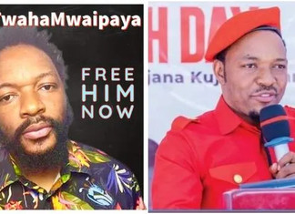 High Court Orders Police to Produce Missing Tanzanian Activist by Monday Missing Tanzanian Activist