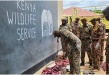 Suspected Poachers Flee KWS Ambush, Abandon Motorbike Loaded With Wildlife Meat