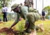 President Ruto Leads Mazingira Day Celebrations As Kenya Targets 15 Billion Trees by 2032