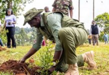 President Ruto Leads Mazingira Day Celebrations As Kenya Targets 15 Billion Trees by 2032
