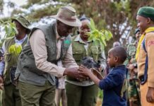 Kenya Forest Service Turns to Music to Boost Tree-Growing Campaign