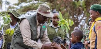 Kenya Forest Service Turns to Music to Boost Tree-Growing Campaign