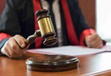 Two Men Face Life In Prison For Possessing Elephant Tusks, Leopard And Cheetah Skins