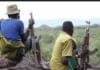 Turkana MPs Decry Rising Banditry Attacks in Aroo Sub-County